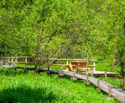 Murgtalpfad kurz vor Einmndung Talstrae in Herrischried