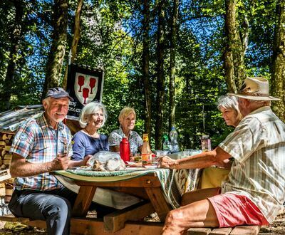 Picknickplatz bei der Burgruine Wieladingen