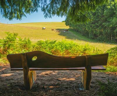 Premiumweg Hotzenpfad
