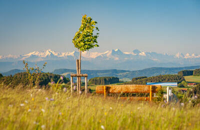 4718-Alpenpanormabaenkle-(C)-Hotzenwald-Tourismus-GmbH,-Dirk-Doebele