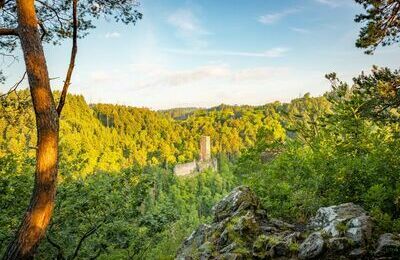 Burgruine Wieladingen_K