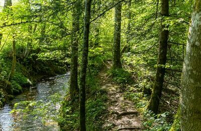 Dorfurlaub Hotzenwald-25