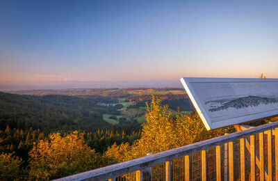 Aussicht vom Hornbergbecken ins Rheintal